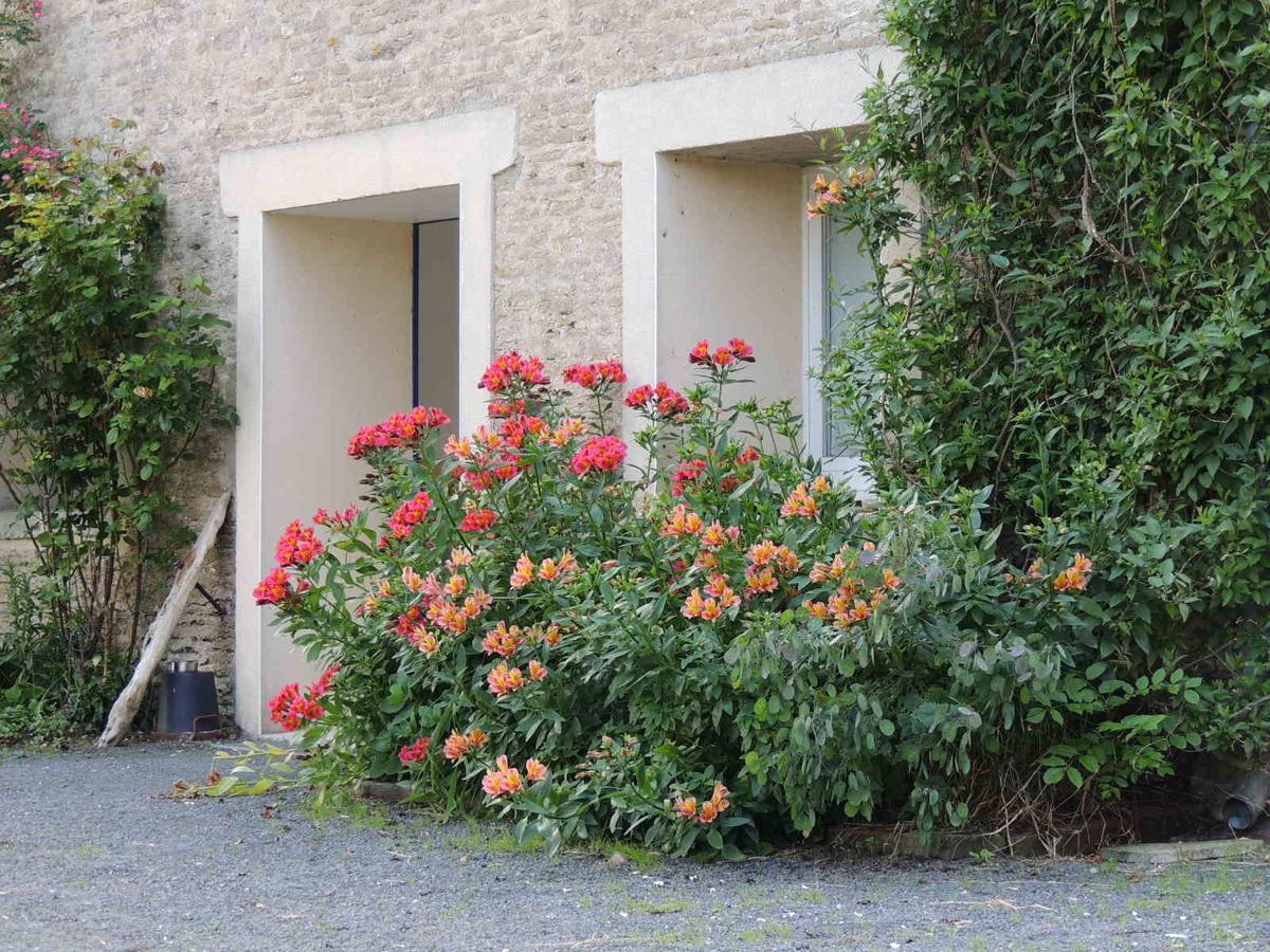 Chambres D'Hotes Les Pieris Grandcamp-Maisy Exteriér fotografie